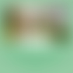 Protecting Pets from the Heat: Tips for Hot Weather Safety