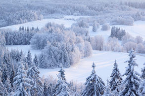 Ski Estonia