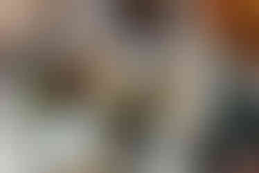 Alkoholfri champagne delas ut under en eventfotografering på Kvarteret Igor köpcenter i Västerås