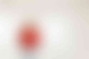 en kvinna i röd blus och vita byxpr i en ljus lokal under en branding fotografering åt en digital designer 