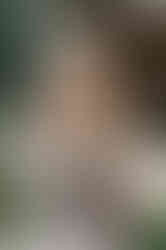 En tjej delar ut flyers och vatten i promotionflaskor under en eventfotografering på Kvarteret Igor köpcenter i Västerås