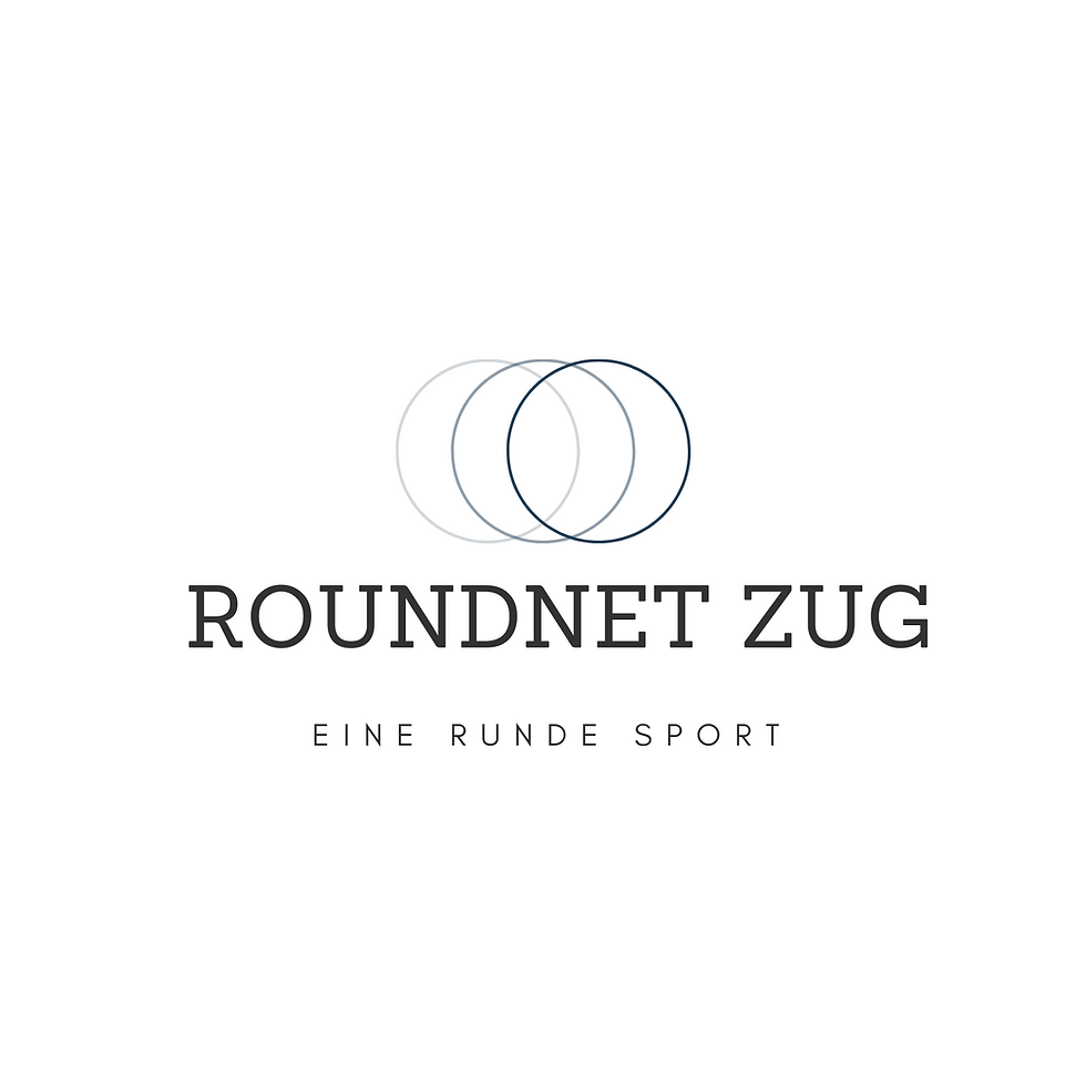 Roundnet Zug