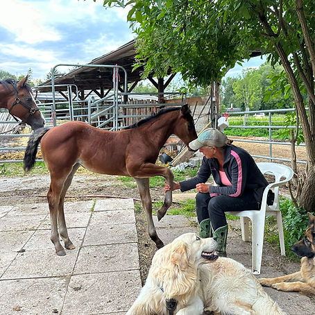 Über mich 5_edited.jpg