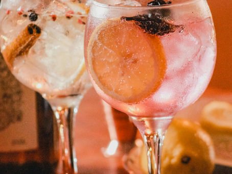 2 glasses of gin with botanics