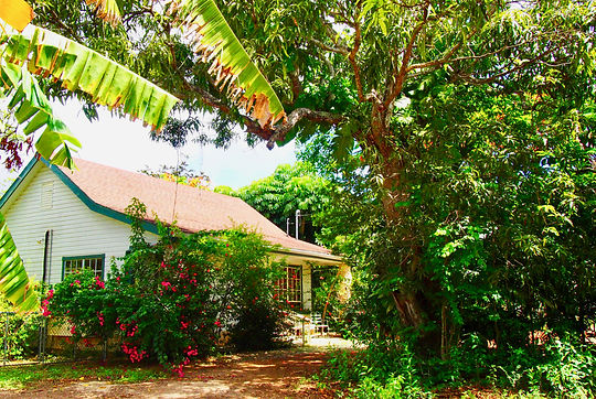 Cottage 1.jpg