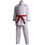 Thumbnail: WKF Budo-Nord Mirai (Green Karate)