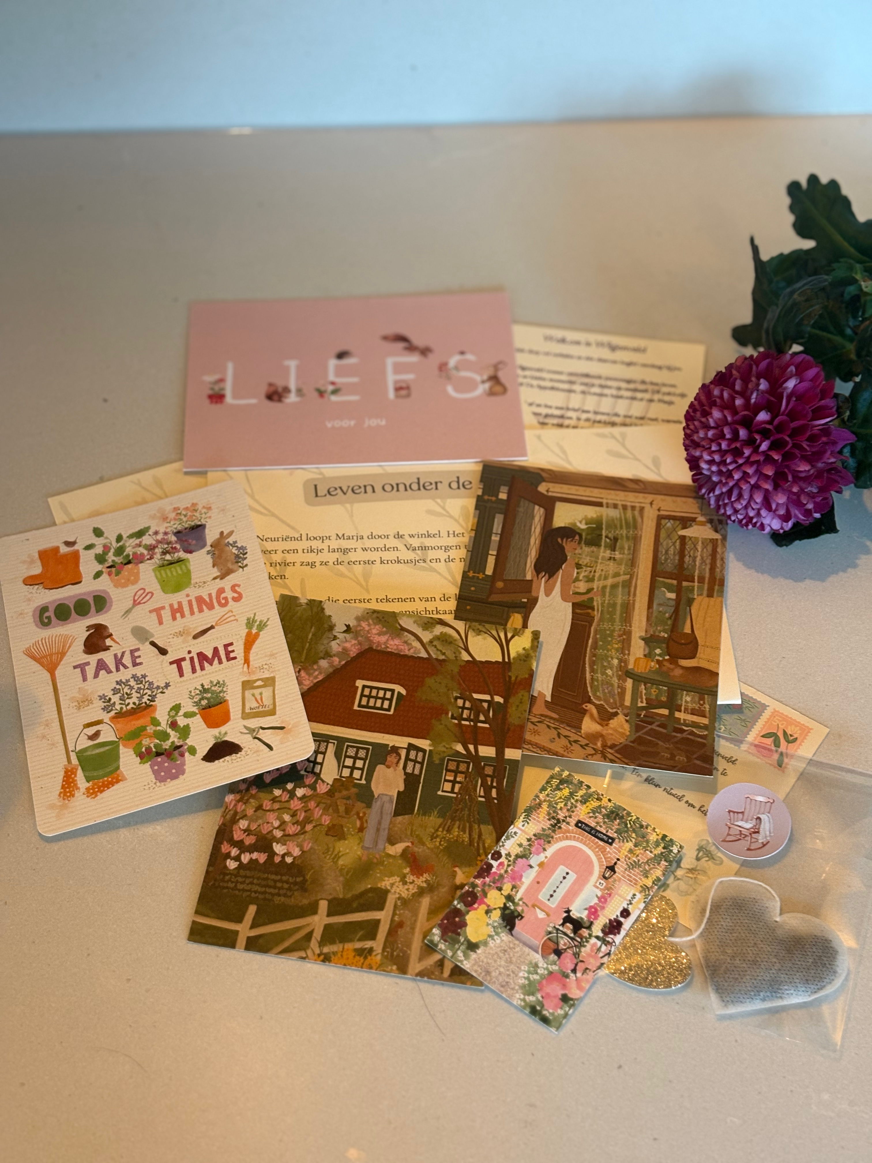 Brievenbuscadeau met 4 kaarten "Liefs" 