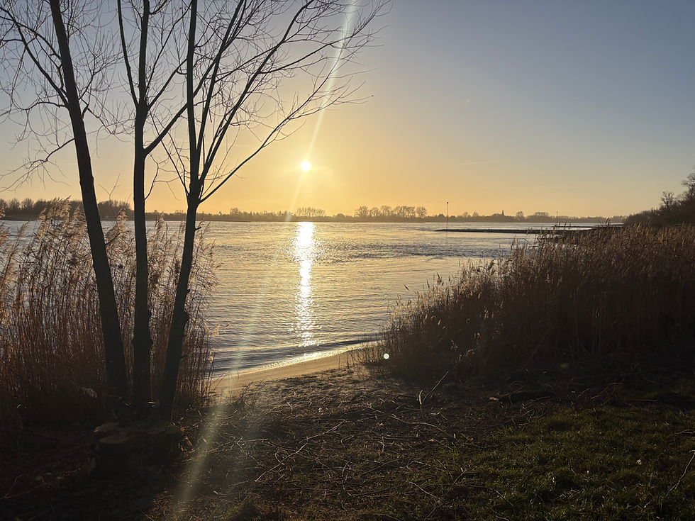 Rivier in de winterzon