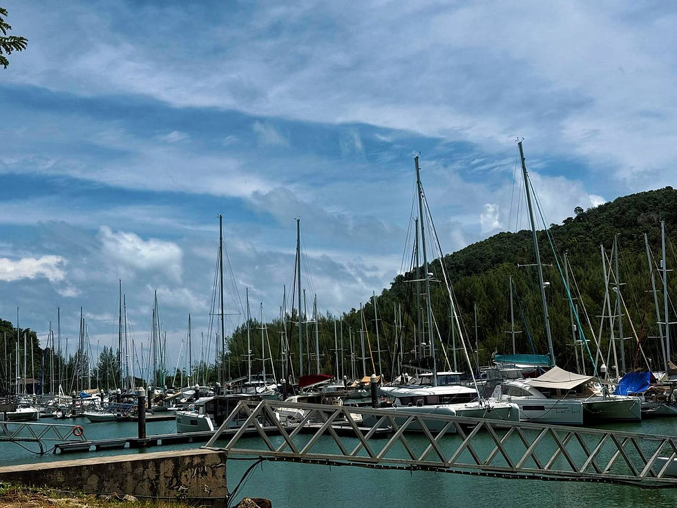 REBAK MARINA ISLAND