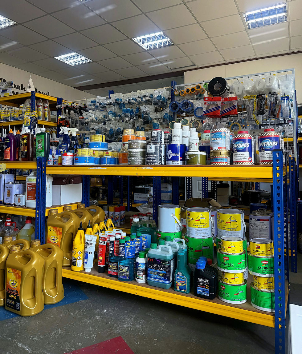 The store