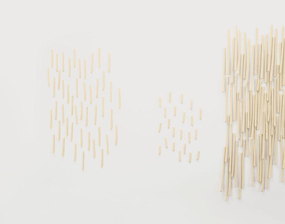 Christien Meindertsma, Acoustic Fur