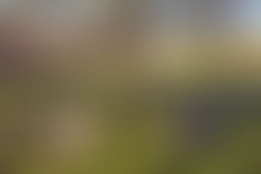 Here Comes the Sun |Â Paul Cocksedge