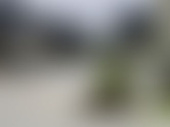 10 Boden Road Seven Hills