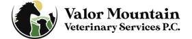 Valor Mountain Logo - Web header