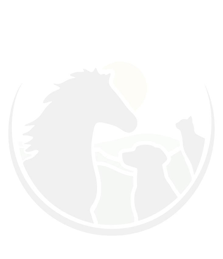 valor mountain logo mark