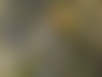 Beyond Representation: Exploring Our Inner Landscape