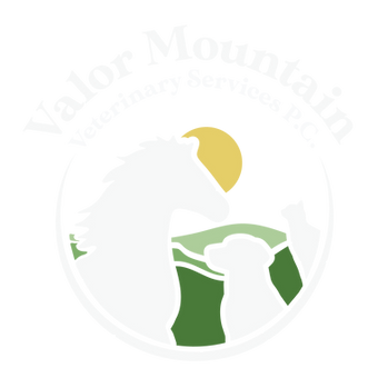 valor mountain logo mark white
