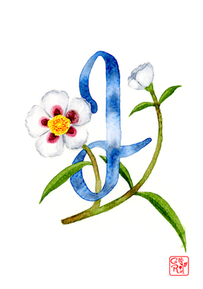 A6 - J.png