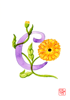A6 - C.png