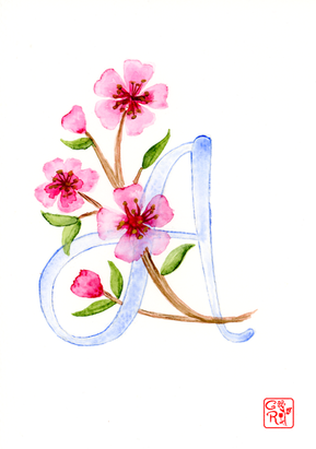 A6 - A.png