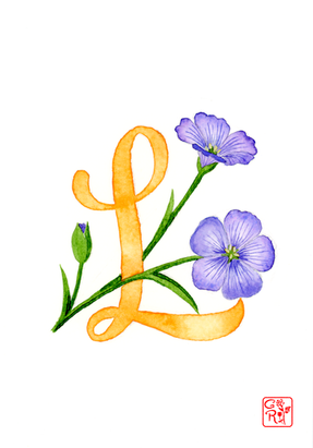 A6 - L.png