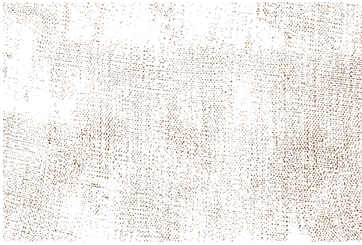 Pattern Screen Brown.png