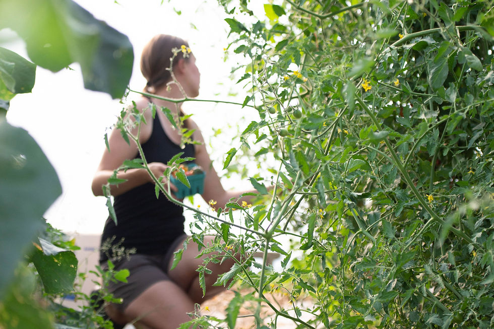 Building Your Organic Certification Team