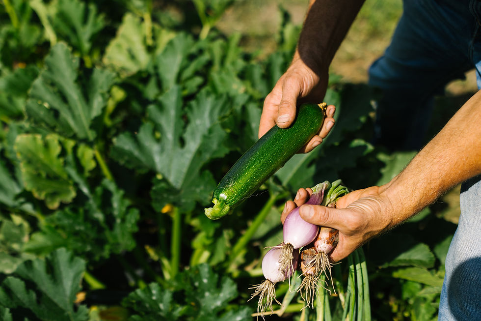 Part 2: The Organic System Plan and Farmer Insights