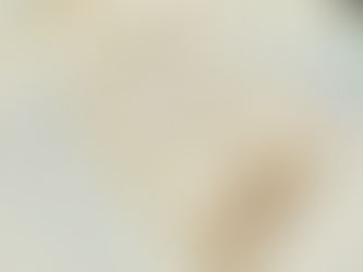 "ToL" Original Recipe: Haupia