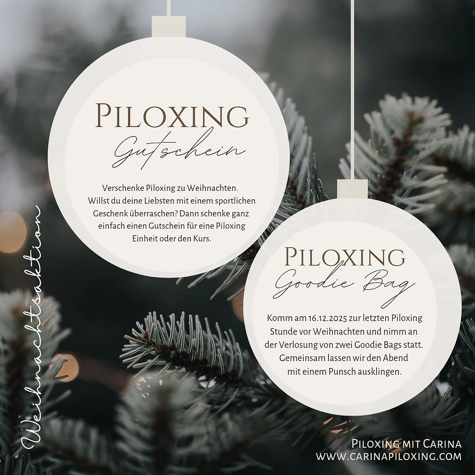 Weihnachtensaktion Part I