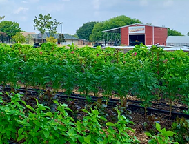 Screenshot 2025-09-30 at 12.52.34 PM.png