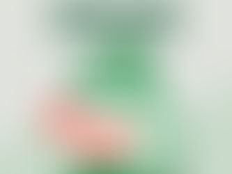 Navigating Success with Offshore Managed Hosting by Warez Host