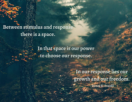 Stimulus and Response.jpg
