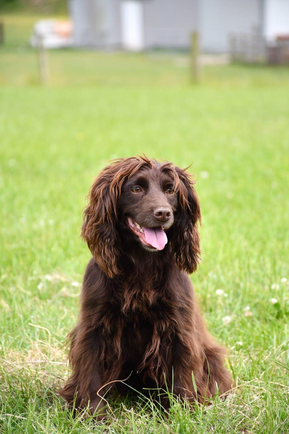 0a85d389-5a54-4cfb-8cf1-6a8e1f2f03fc