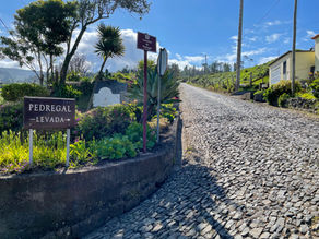 Levada Pedregal - Ponta do Pargo
