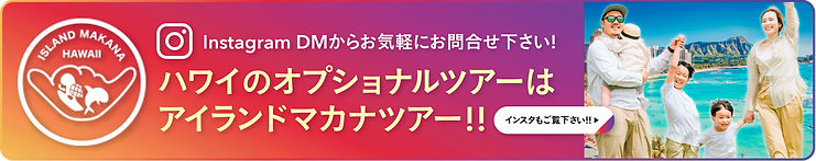 アイランドマカナツアーズハワイ