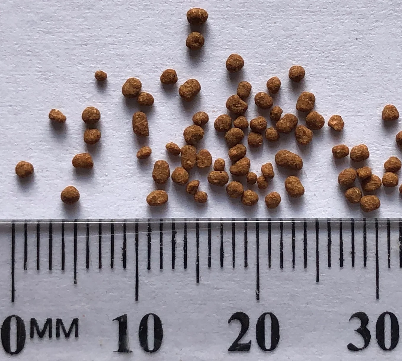 DRP 2 AQUATIC GROWTH FOOD FORMULA TROPICAL MARINE FISH FRY Melbay