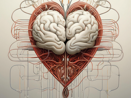 The Empathy Code: Rewiring Your Brain to Connection