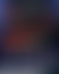 🎉 TCL -BADMINTON! 🦁 