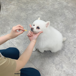 メロたん