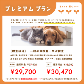 犬 猫 健康診断 プレミアムプラン 血液検査 エコー検査 レントゲン検査 糞尿検査