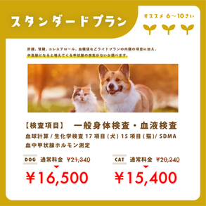 犬 猫 健康診断 スタンダードプラン 血液検査