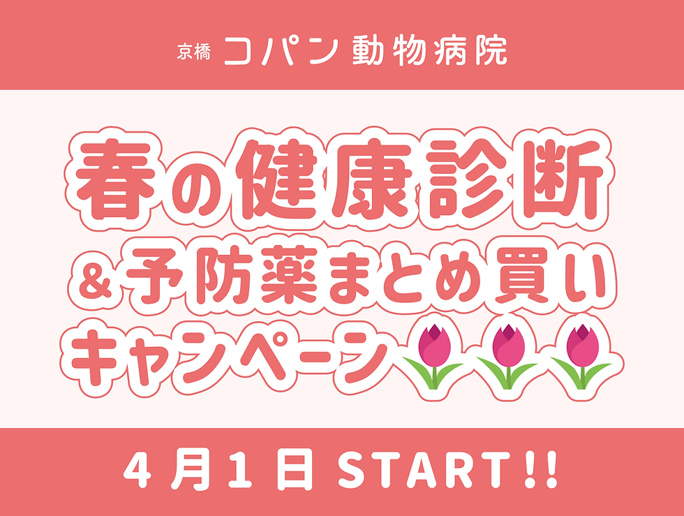 春の健康診断&予防薬まとめ買いキャンペーン