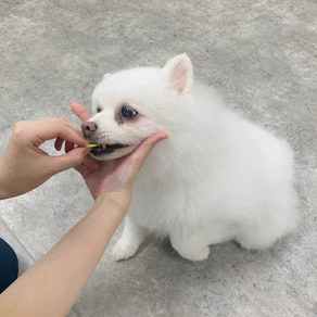 メロたん