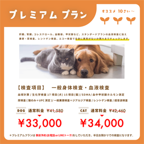 犬 猫 健康診断 プレミアムプラン 血液検査 エコー検査 レントゲン検査 糞尿検査