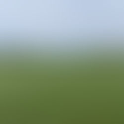 an english field