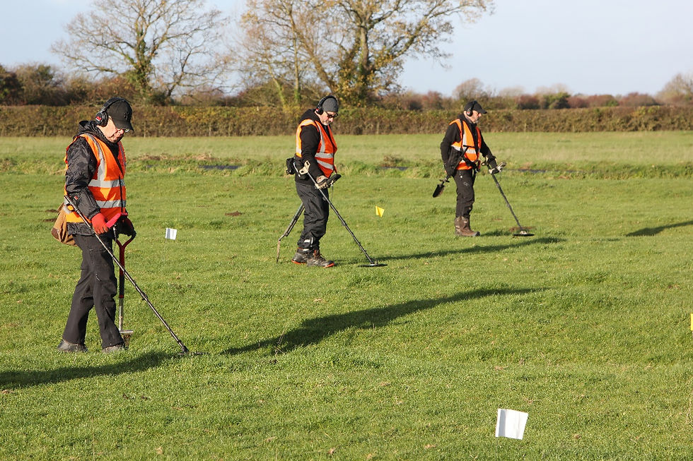 scaled_Transect survey 3-standard v2-0.25x.jpeg