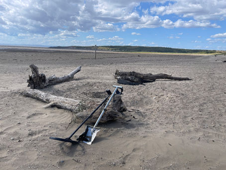 Beach metal detecting