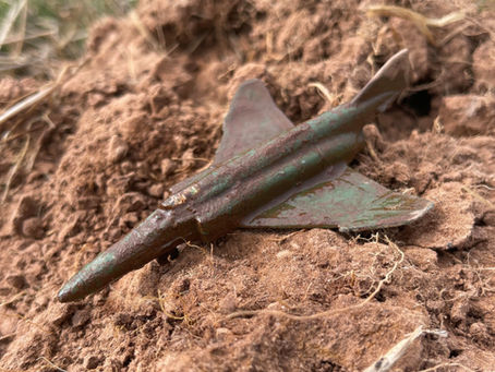 toy plane found detecting