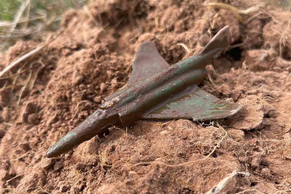 toy plane found detecting